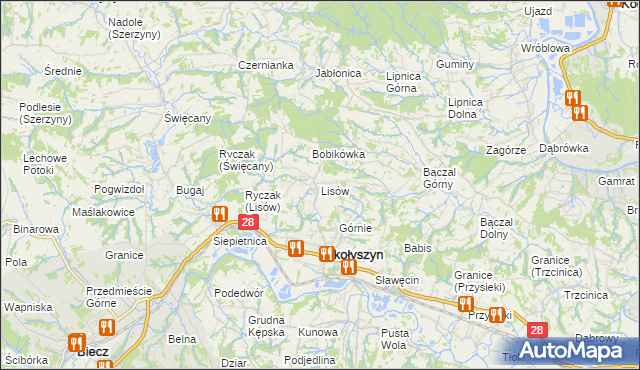 mapa Lisów gmina Skołyszyn, Lisów gmina Skołyszyn na mapie Targeo