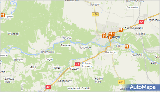 mapa Lisowice gmina Działoszyn, Lisowice gmina Działoszyn na mapie Targeo