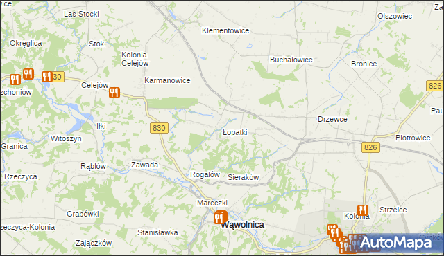 mapa Łopatki gmina Wąwolnica, Łopatki gmina Wąwolnica na mapie Targeo