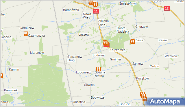 mapa Ludwina gmina Pleszew, Ludwina gmina Pleszew na mapie Targeo