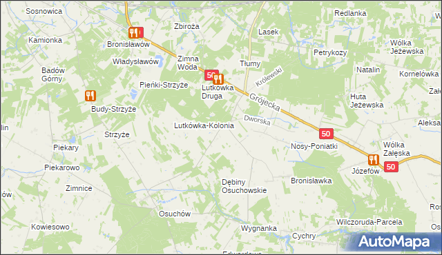 mapa Lutkówka gmina Mszczonów, Lutkówka gmina Mszczonów na mapie Targeo
