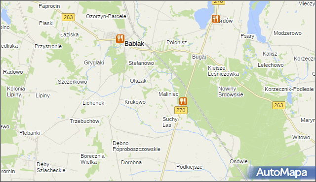 mapa Maliniec gmina Babiak, Maliniec gmina Babiak na mapie Targeo