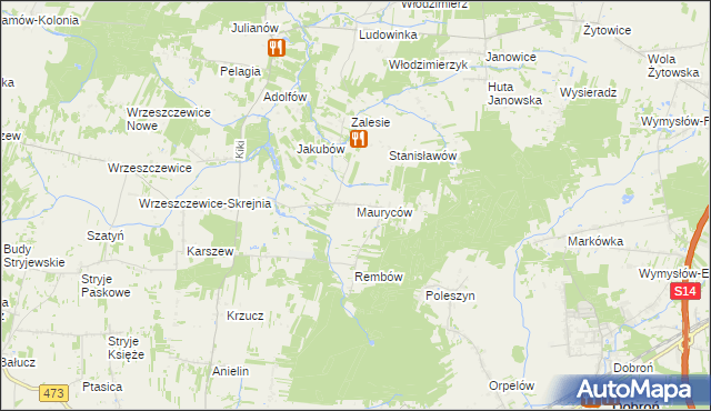 mapa Mauryców gmina Wodzierady, Mauryców gmina Wodzierady na mapie Targeo