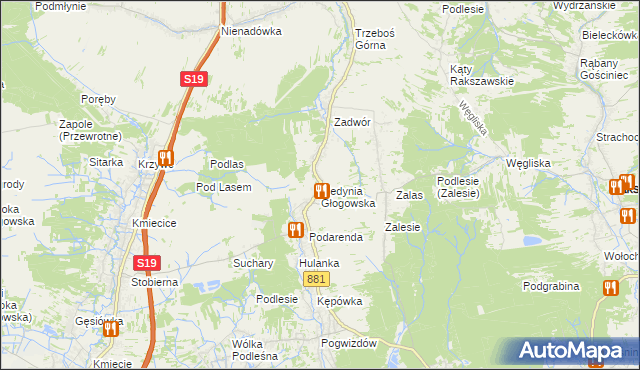 mapa Medynia Głogowska, Medynia Głogowska na mapie Targeo