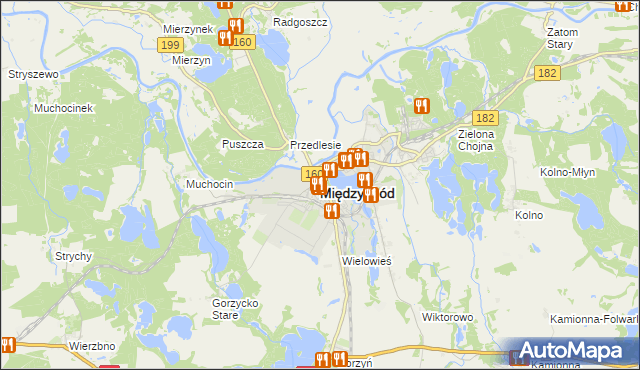 mapa Międzychód, Międzychód na mapie Targeo