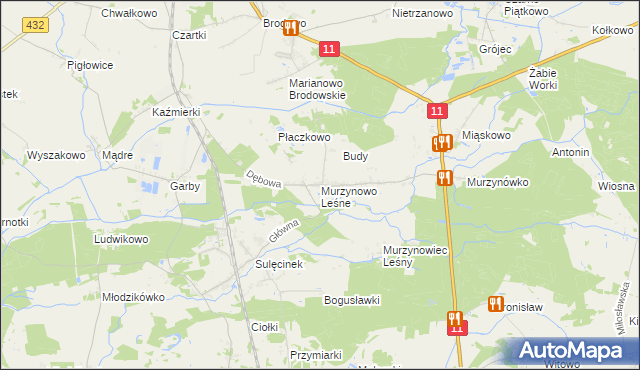 mapa Murzynowo Leśne, Murzynowo Leśne na mapie Targeo