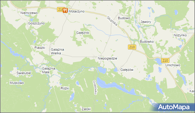 mapa Niepoględzie, Niepoględzie na mapie Targeo