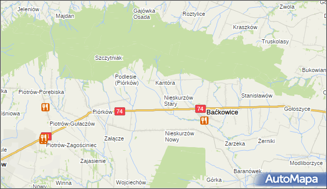 mapa Nieskurzów Stary, Nieskurzów Stary na mapie Targeo