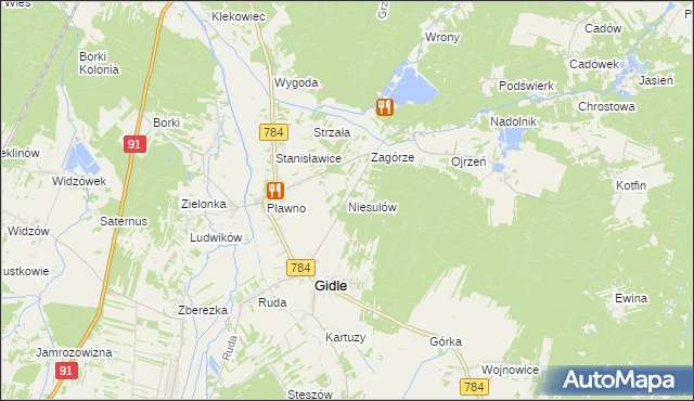 mapa Niesulów, Niesulów na mapie Targeo