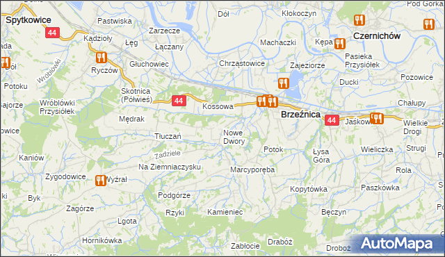 mapa Nowe Dwory gmina Brzeźnica, Nowe Dwory gmina Brzeźnica na mapie Targeo