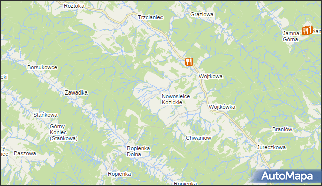 mapa Nowosielce Kozickie, Nowosielce Kozickie na mapie Targeo