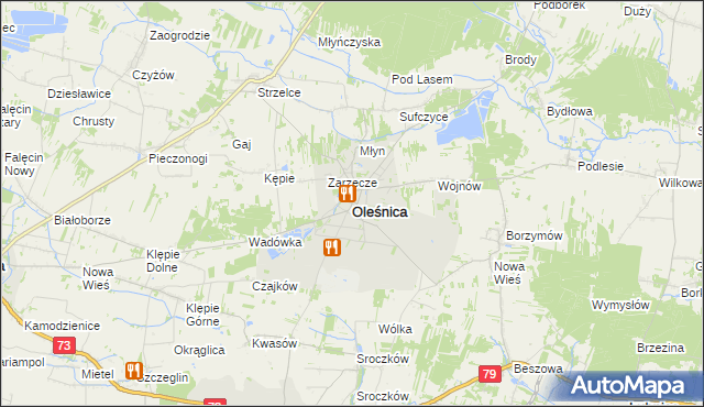 mapa Oleśnica powiat staszowski, Oleśnica powiat staszowski na mapie Targeo