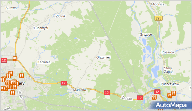 mapa Olszyniec gmina Żary, Olszyniec gmina Żary na mapie Targeo