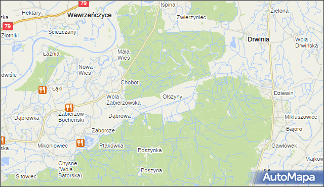 mapa Olszyny gmina Drwinia, Olszyny gmina Drwinia na mapie Targeo