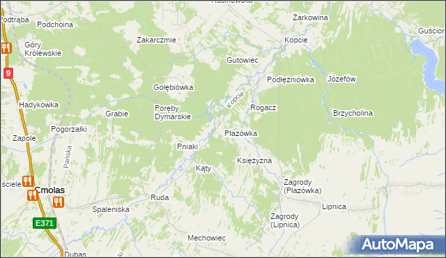 mapa Płazówka gmina Dzikowiec, Płazówka gmina Dzikowiec na mapie Targeo