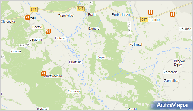 mapa Pupki gmina Turośl, Pupki gmina Turośl na mapie Targeo