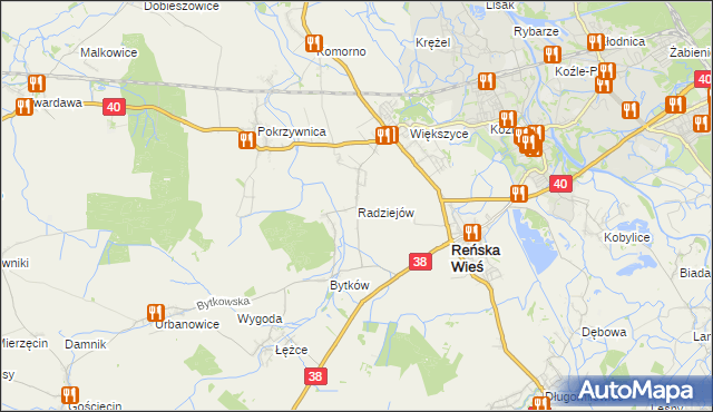 mapa Radziejów gmina Reńska Wieś, Radziejów gmina Reńska Wieś na mapie Targeo