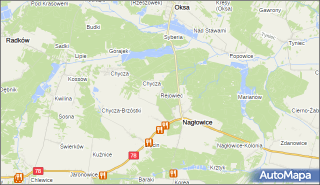 mapa Rejowiec gmina Nagłowice, Rejowiec gmina Nagłowice na mapie Targeo