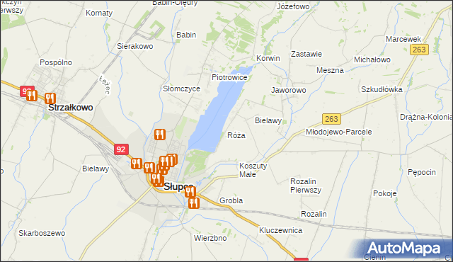 mapa Róża gmina Słupca, Róża gmina Słupca na mapie Targeo