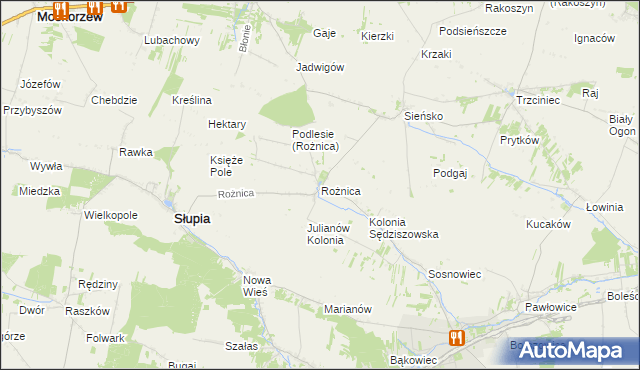 mapa Rożnica, Rożnica na mapie Targeo