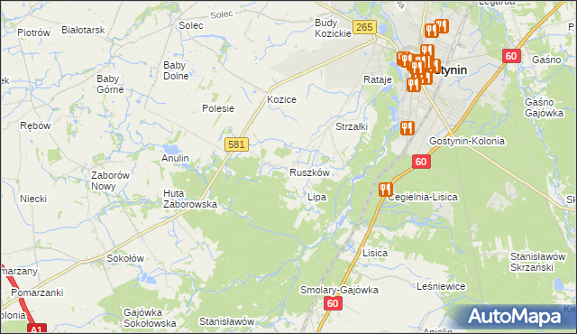 mapa Ruszków gmina Gostynin, Ruszków gmina Gostynin na mapie Targeo
