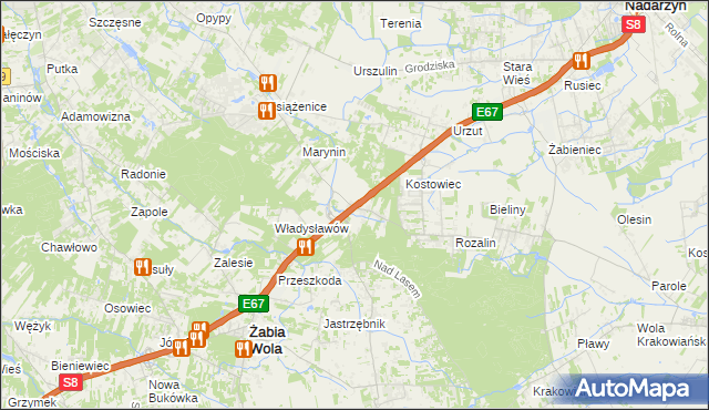 mapa Siestrzeń, Siestrzeń na mapie Targeo