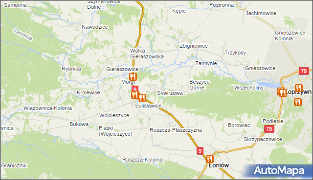 mapa Skwirzowa, Skwirzowa na mapie Targeo