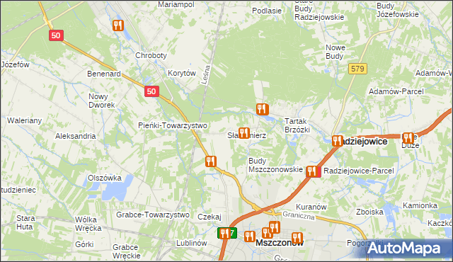 mapa Słabomierz gmina Radziejowice, Słabomierz gmina Radziejowice na mapie Targeo