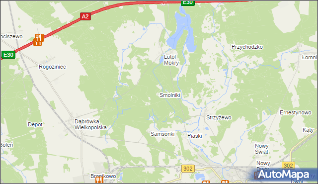 mapa Smolniki gmina Trzciel, Smolniki gmina Trzciel na mapie Targeo