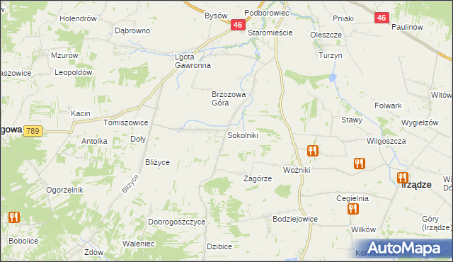 mapa Sokolniki gmina Niegowa, Sokolniki gmina Niegowa na mapie Targeo