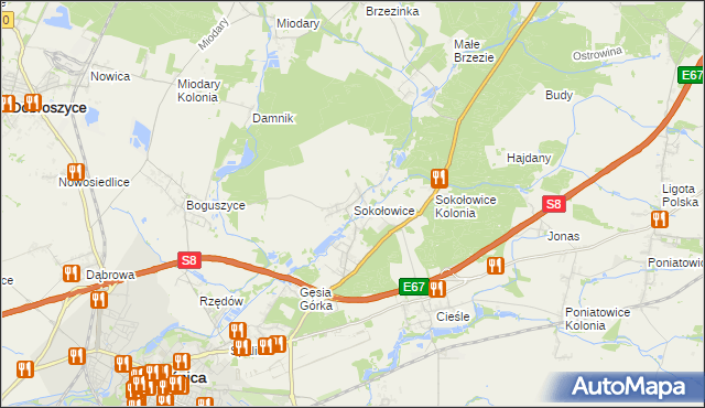 mapa Sokołowice gmina Oleśnica, Sokołowice gmina Oleśnica na mapie Targeo