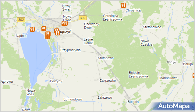 mapa Stefanowo gmina Zbąszyń, Stefanowo gmina Zbąszyń na mapie Targeo