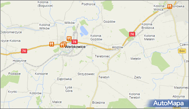 mapa Terebiniec, Terebiniec na mapie Targeo