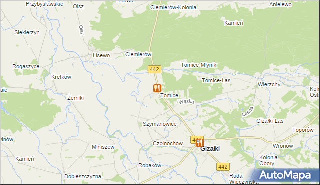 mapa Tomice gmina Gizałki, Tomice gmina Gizałki na mapie Targeo