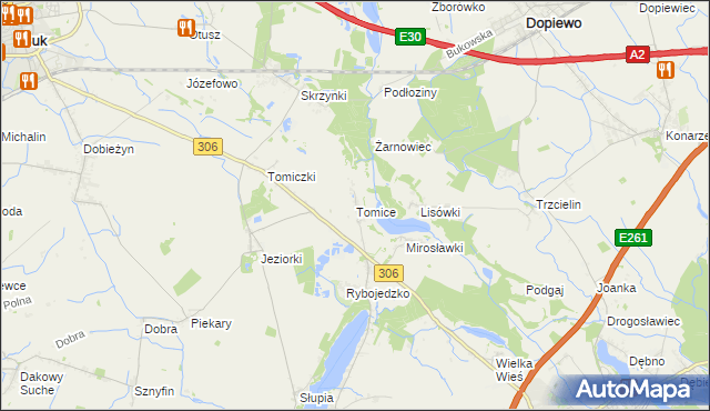 mapa Tomice gmina Stęszew, Tomice gmina Stęszew na mapie Targeo