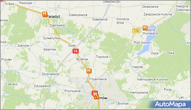 mapa Topolice gmina Żarnów, Topolice gmina Żarnów na mapie Targeo