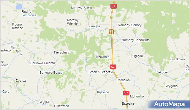 mapa Trzcianka gmina Przasnysz, Trzcianka gmina Przasnysz na mapie Targeo