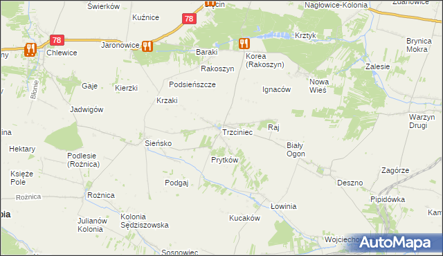 mapa Trzciniec gmina Nagłowice, Trzciniec gmina Nagłowice na mapie Targeo