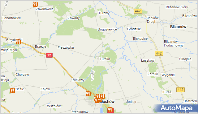 mapa Tursko gmina Gołuchów, Tursko gmina Gołuchów na mapie Targeo