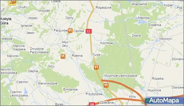 mapa Turze gmina Ostrzeszów, Turze gmina Ostrzeszów na mapie Targeo