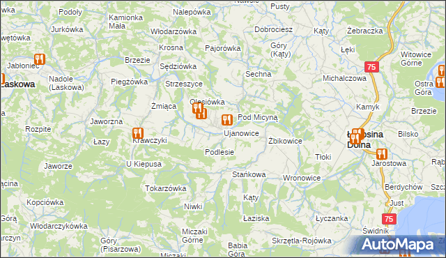 mapa Ujanowice, Ujanowice na mapie Targeo