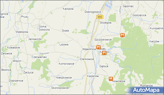 mapa Wąwolnica gmina Strzelin, Wąwolnica gmina Strzelin na mapie Targeo