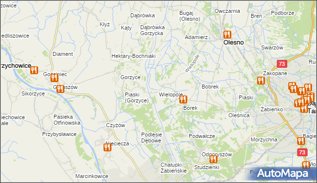 mapa Wielopole gmina Olesno, Wielopole gmina Olesno na mapie Targeo