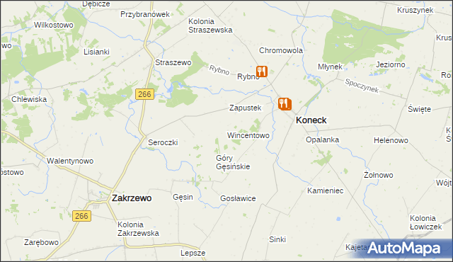 mapa Wincentowo gmina Koneck, Wincentowo gmina Koneck na mapie Targeo