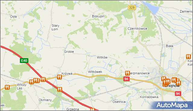 mapa Witków gmina Chojnów, Witków gmina Chojnów na mapie Targeo