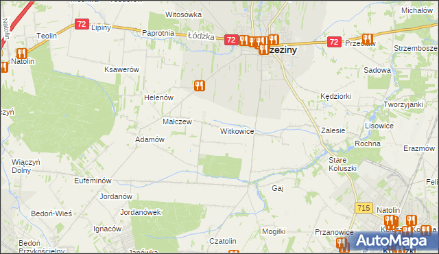 mapa Witkowice gmina Brzeziny, Witkowice gmina Brzeziny na mapie Targeo