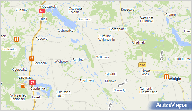 mapa Witkowo gmina Wielgie, Witkowo gmina Wielgie na mapie Targeo