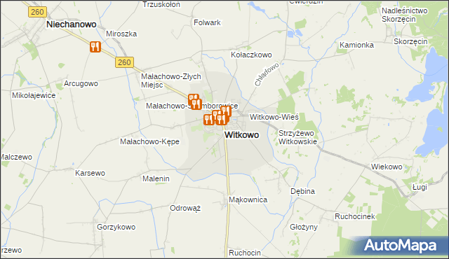 mapa Witkowo powiat gnieźnieński, Witkowo powiat gnieźnieński na mapie Targeo