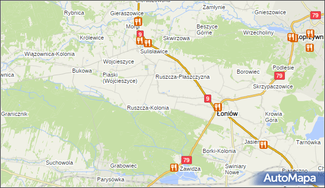 mapa Wnorów, Wnorów na mapie Targeo