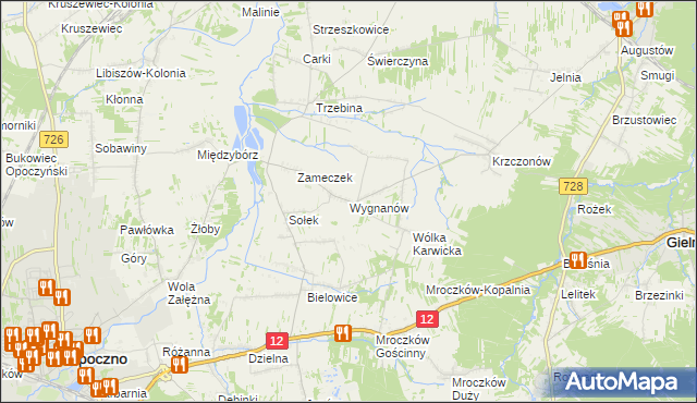 mapa Wygnanów gmina Opoczno, Wygnanów gmina Opoczno na mapie Targeo